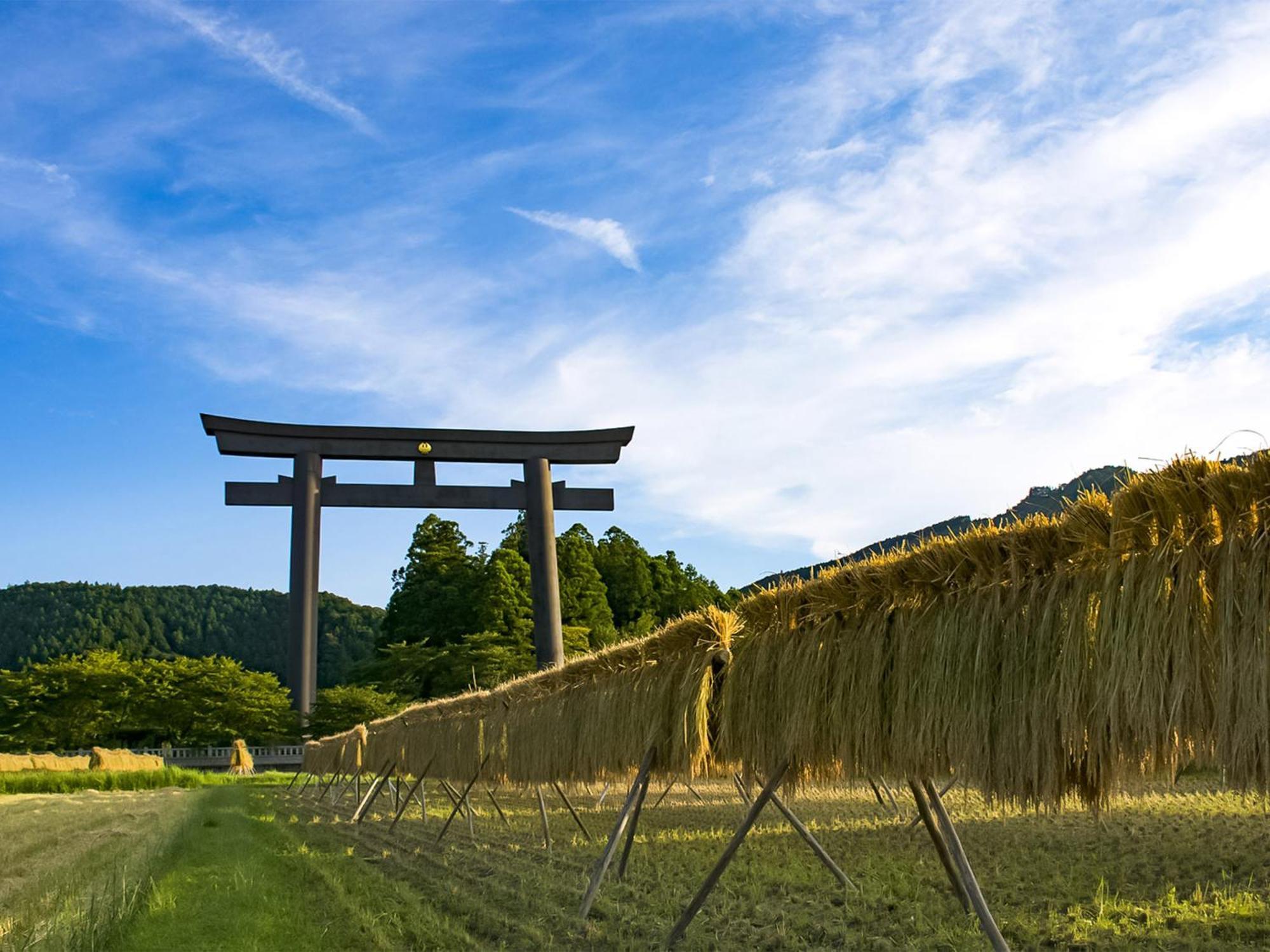 فندق Guest Cafe Kuchikumano Kamitondacho المظهر الخارجي الصورة